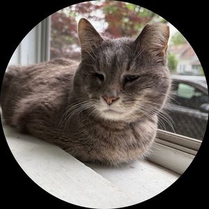 Meet your Posher, Malka